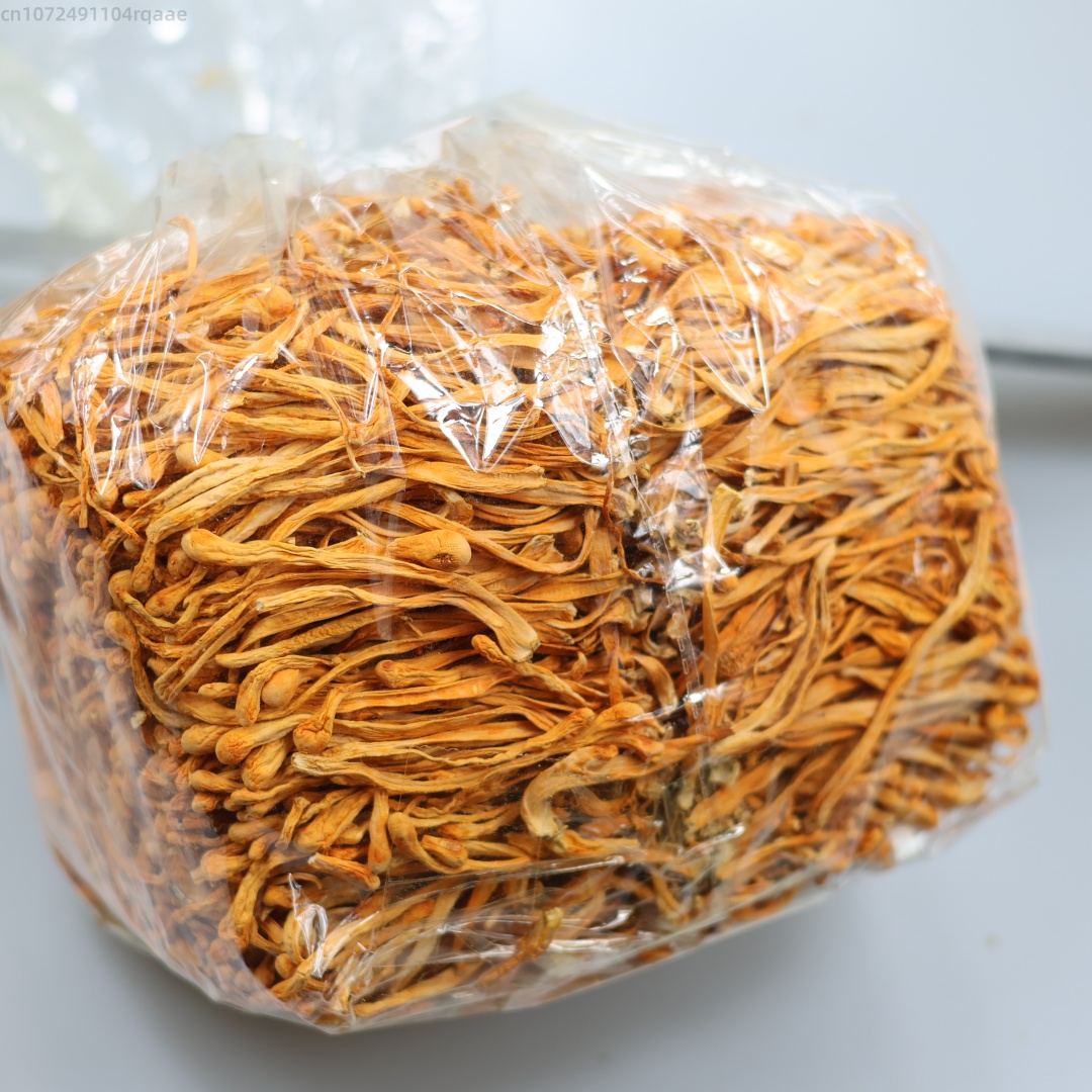 250g/500g Premium Natural Drie - Candle Making Uk ulasan dan harga