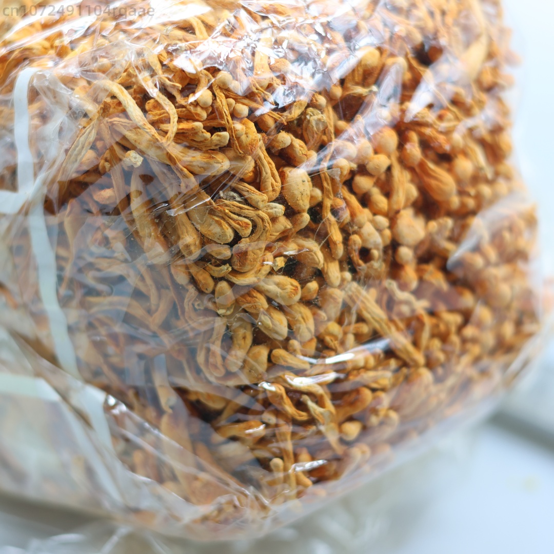 250g/500g Premium Natural Drie - Candle Making Uk ulasan dan harga